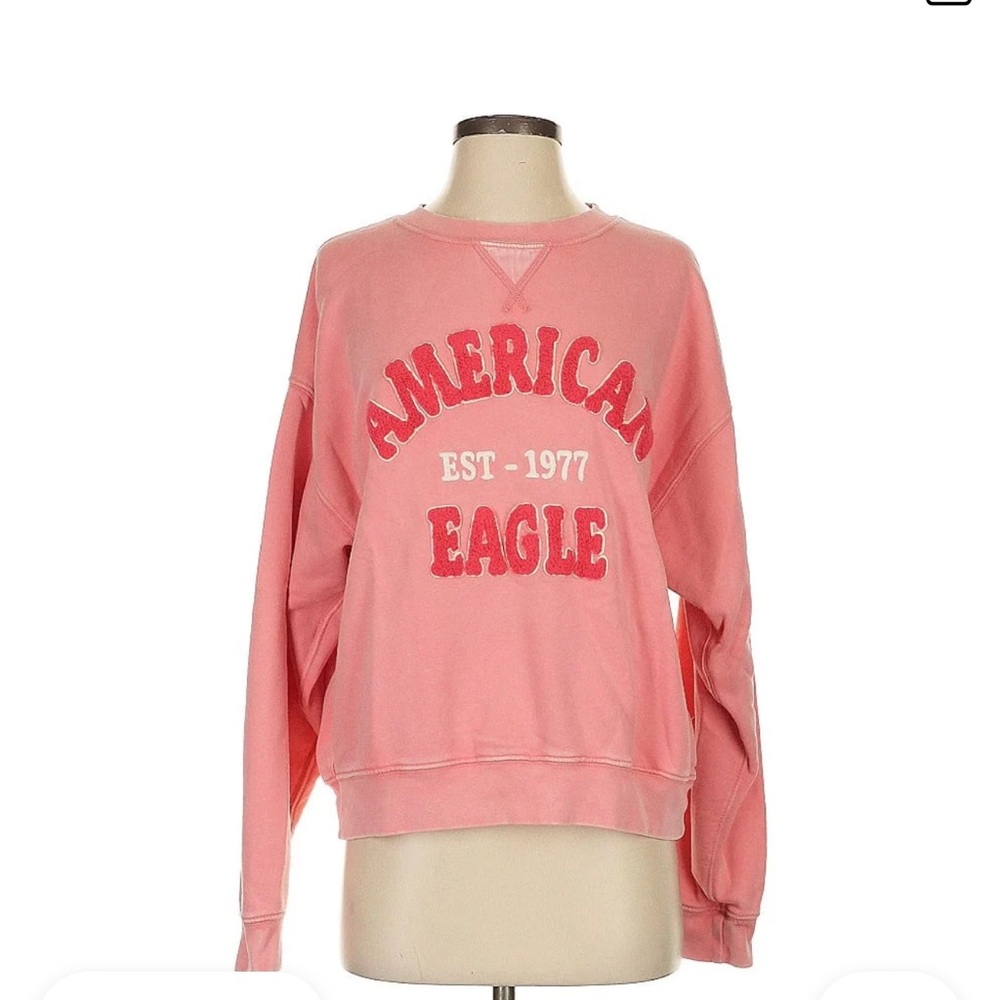 American Eagle Outfitters Pink Medium oversized Sweatshirt